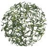 T216 Japan Gyokuro Kusanagi, losse thee van The Dutch Tea Lady