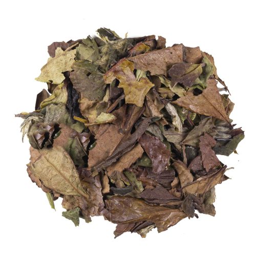 T101 Pai Mu Tan, losse thee van The Dutch Tea Lady