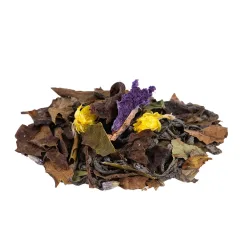 Lady Lavender