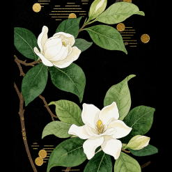 Gorgeous Gardenia, losse thee van Ning Hills Tea